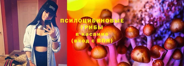 соль ск Аркадак