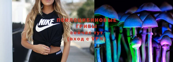 спиды Арсеньев