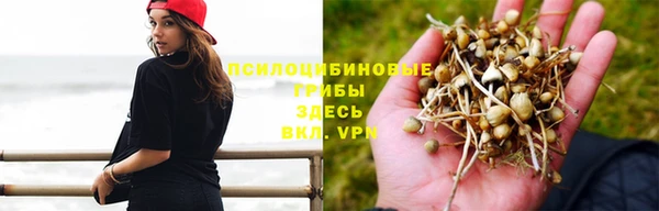 скорость Алзамай