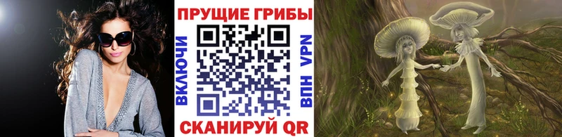 купить   блэк спрут сайт  Галлюциногенные грибы Psilocybe  Лахденпохья 